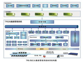 Eric 64 TRS大数据白皮书 概述——信息技术浪潮与大数据时代